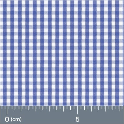Royal Caribbean Silver Blue Gingham Shirt — original fabric swatch — FM84729